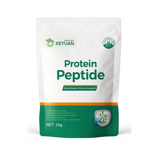 Fish protein Peptide