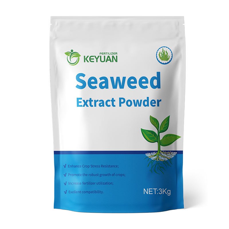 Seaweed extract powder